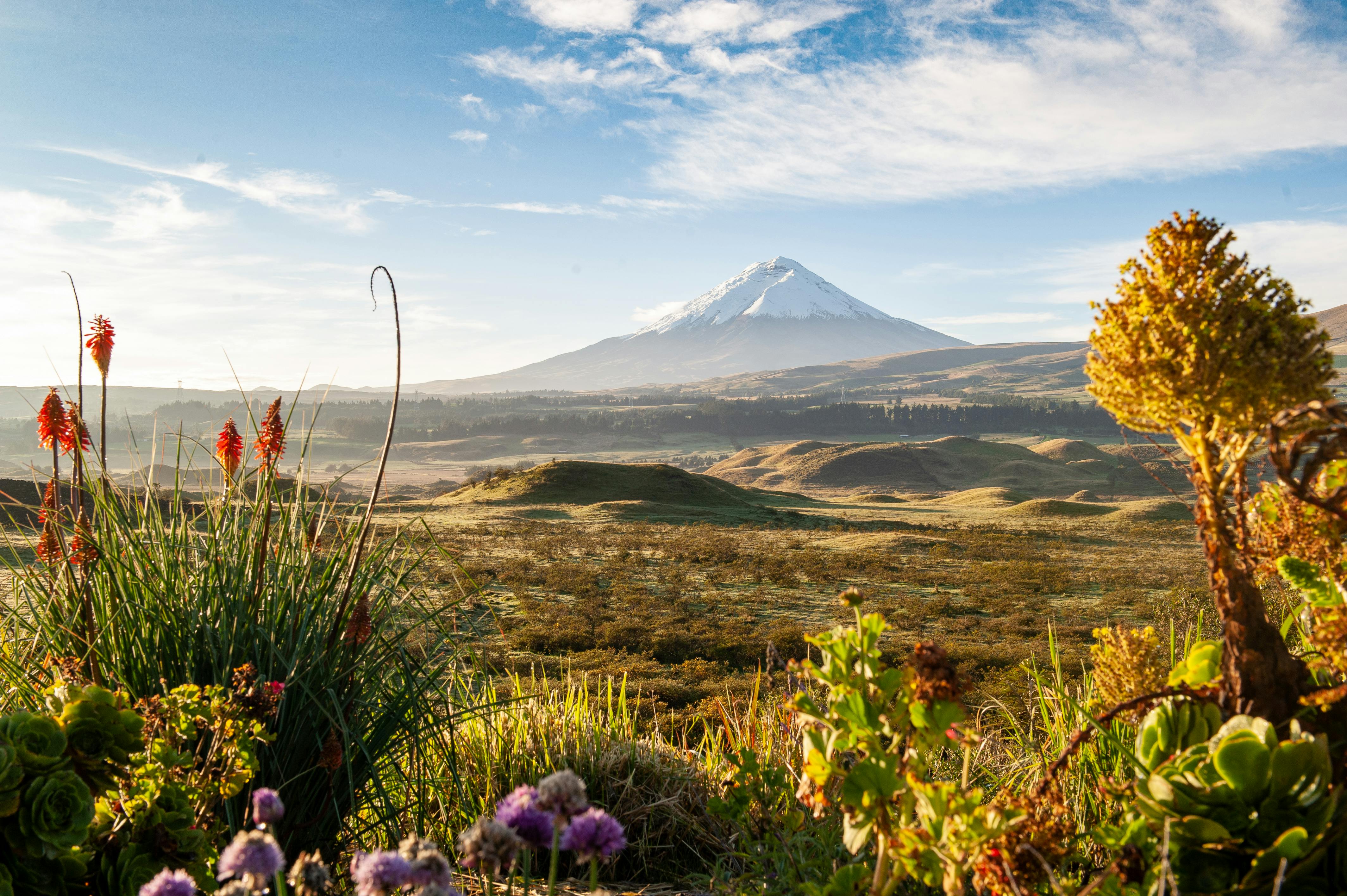 Volcans et lagunes près de Quito : que visiter ?
