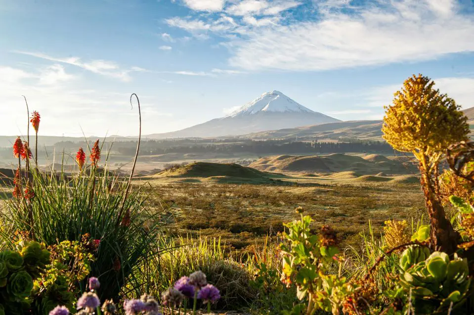 Volcanoes and Lagoons Near Quito: What to Visit?