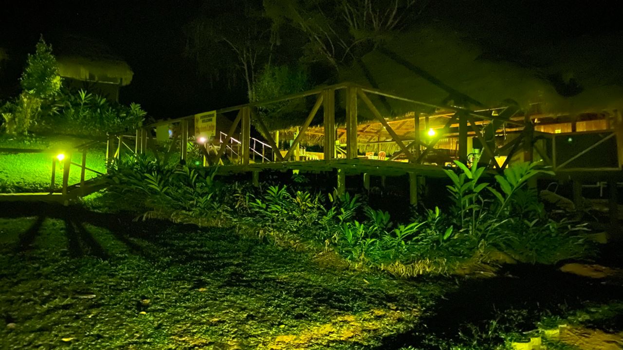 Hospede-se No Cuyabeno Lodge foto 4