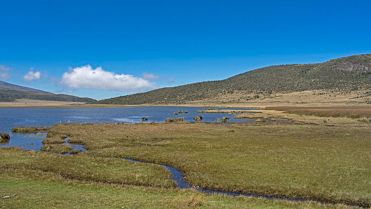 Cotopaxi : À La Découverte Du Volcan Des Andes foto 2
